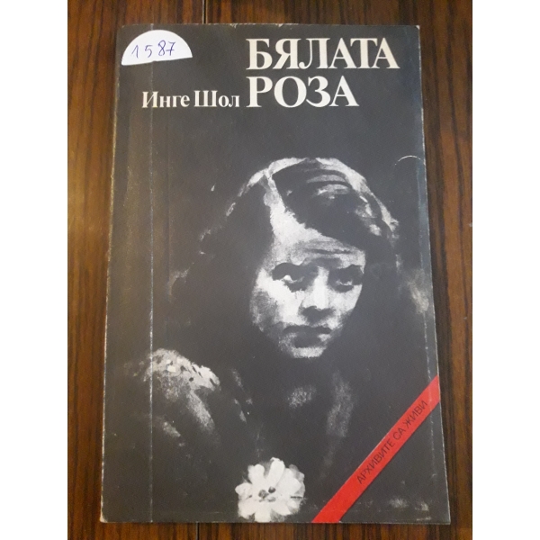 Бялата роза