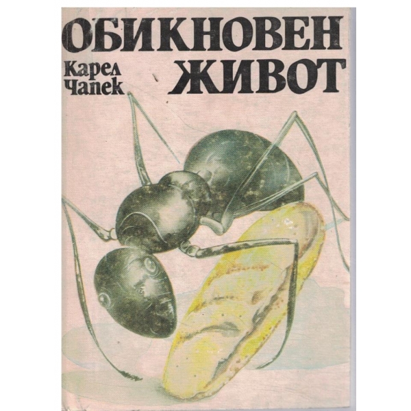 Обикновен живот